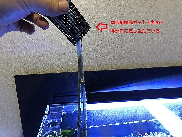 オーバーフロー水槽とは 一般の人気 最新記事を集めました はてな オーバーフロー水槽とは 一般の人気 最新記事を集めました はてな