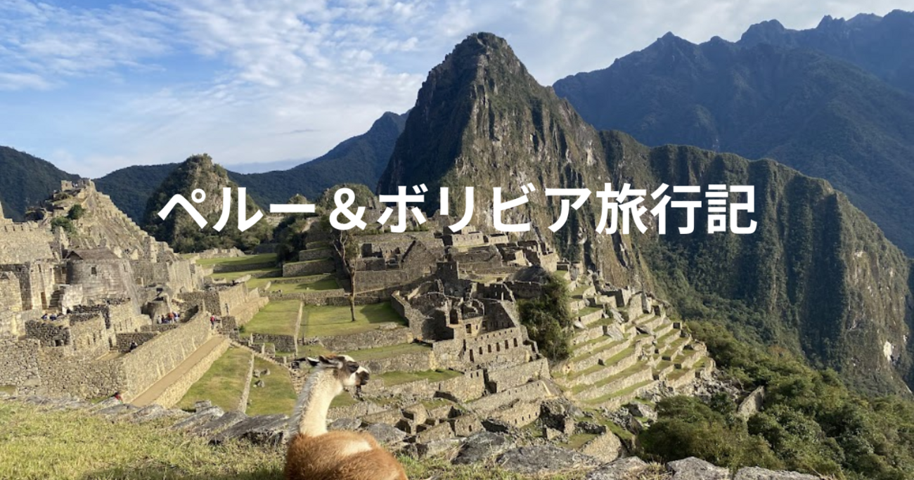 学生最後の夏、南米旅行へ行ってきました！！【ペルー＆ボリビア旅行・PART1】