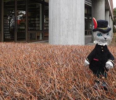 みにくいアヒルの子とは 読書の人気 最新記事を集めました はてな