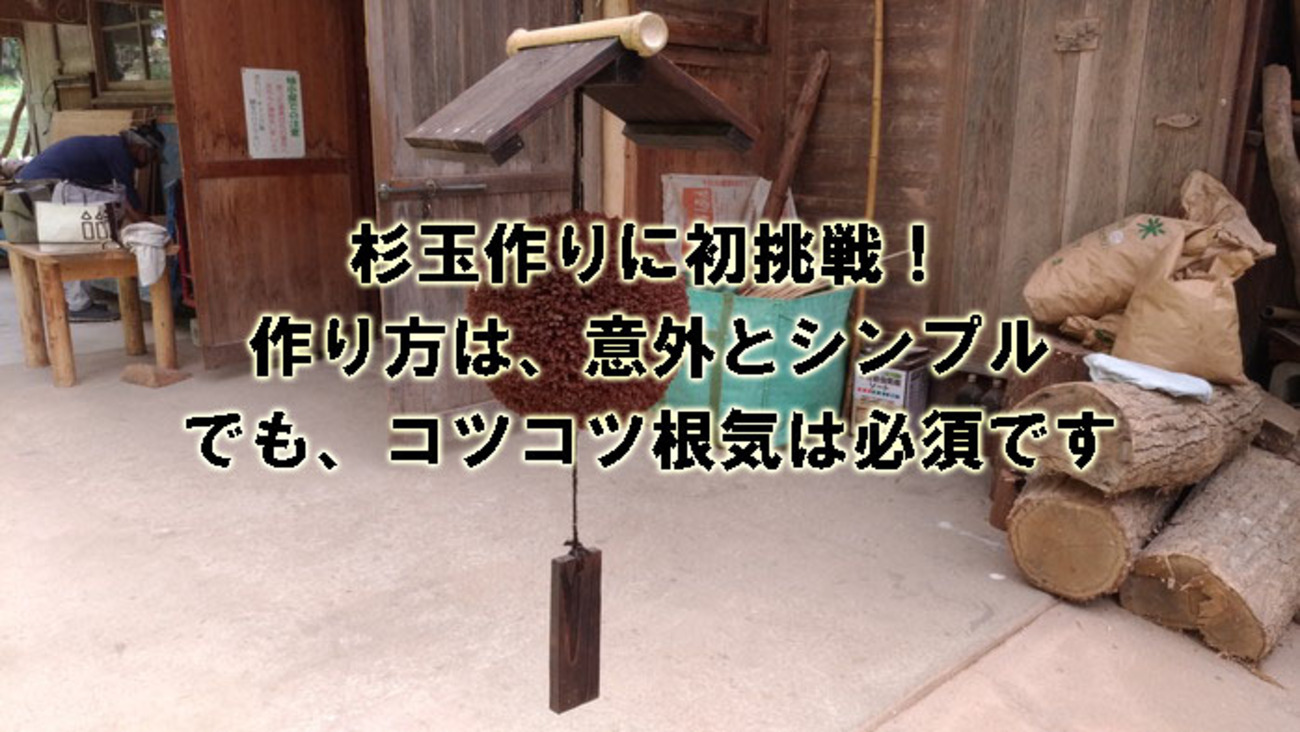 backend=imagemagick;version=1;