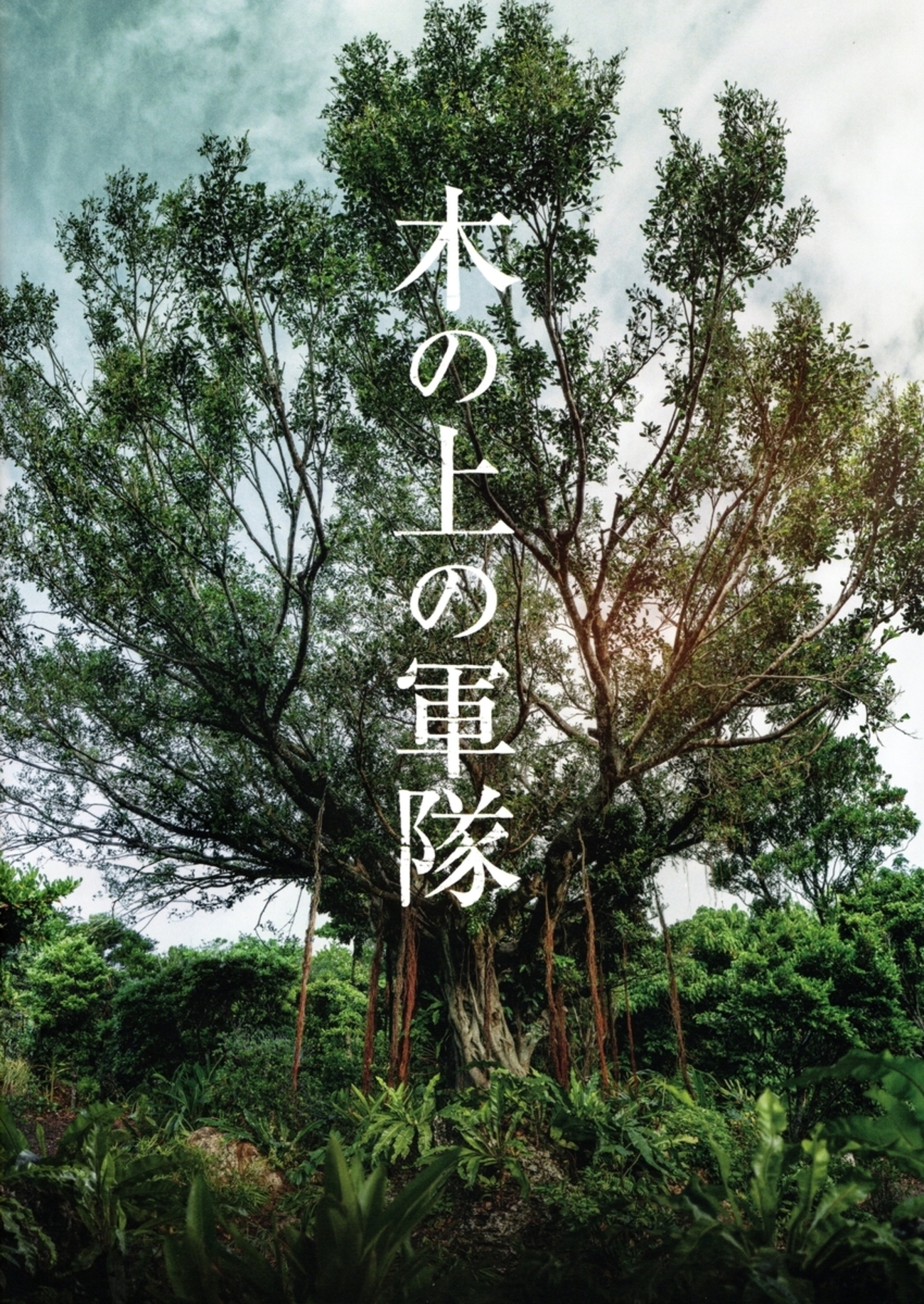 映画「木の上の軍隊」を鑑賞後、「鎌倉パスタ」でランチ。 - shimaの趣味的生活 since2006 人はパンのみに生きるにあらず
