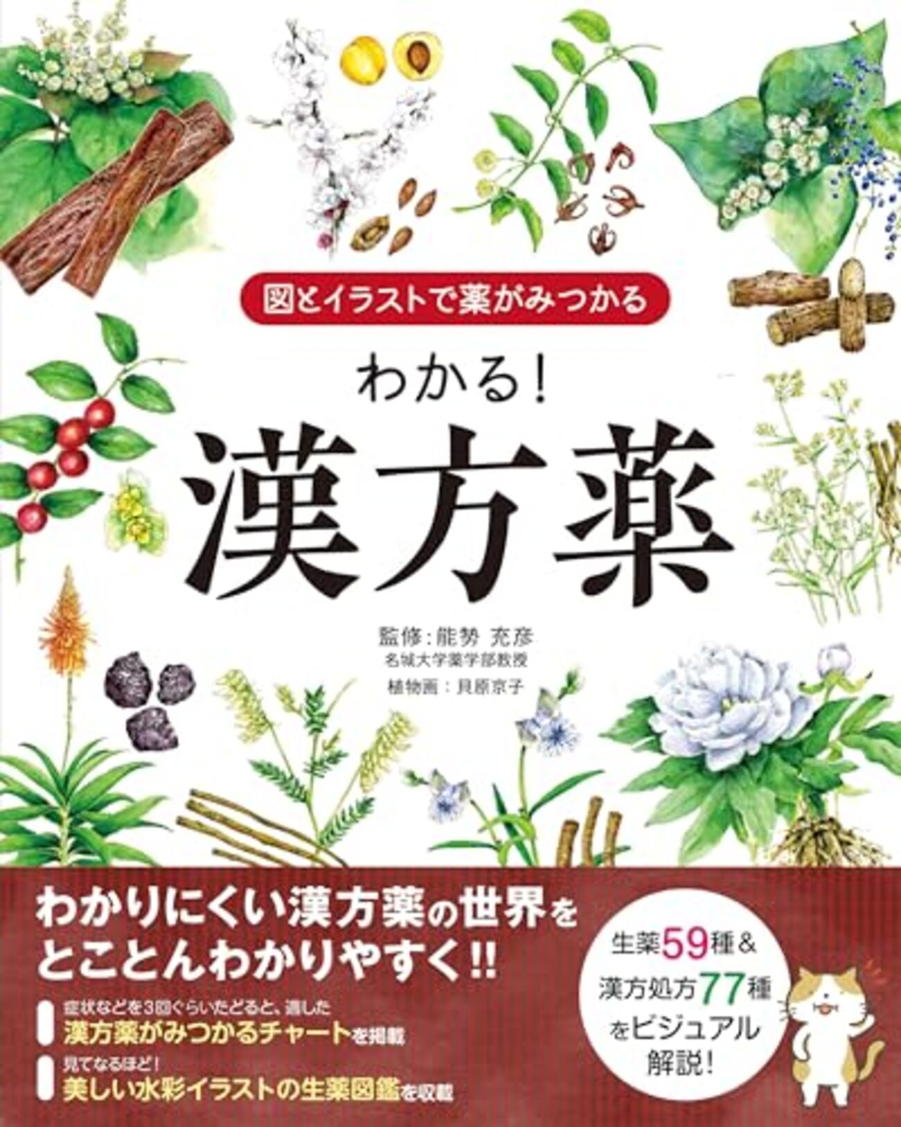 【薬剤師も推薦】「図とイラストで薬がみつかる わかる!漢方薬」で漢方初心者を卒業! - 窓メモ