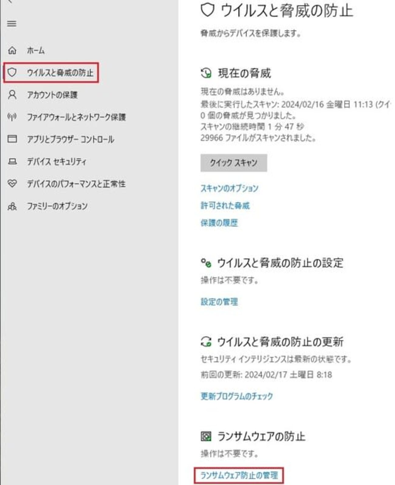 コレオプシス　白　10株　まとめ購入希望の方どうぞ♪ コレオプシス 白 10株 まとめ購入希望の方どうぞ♪ コレオプシス