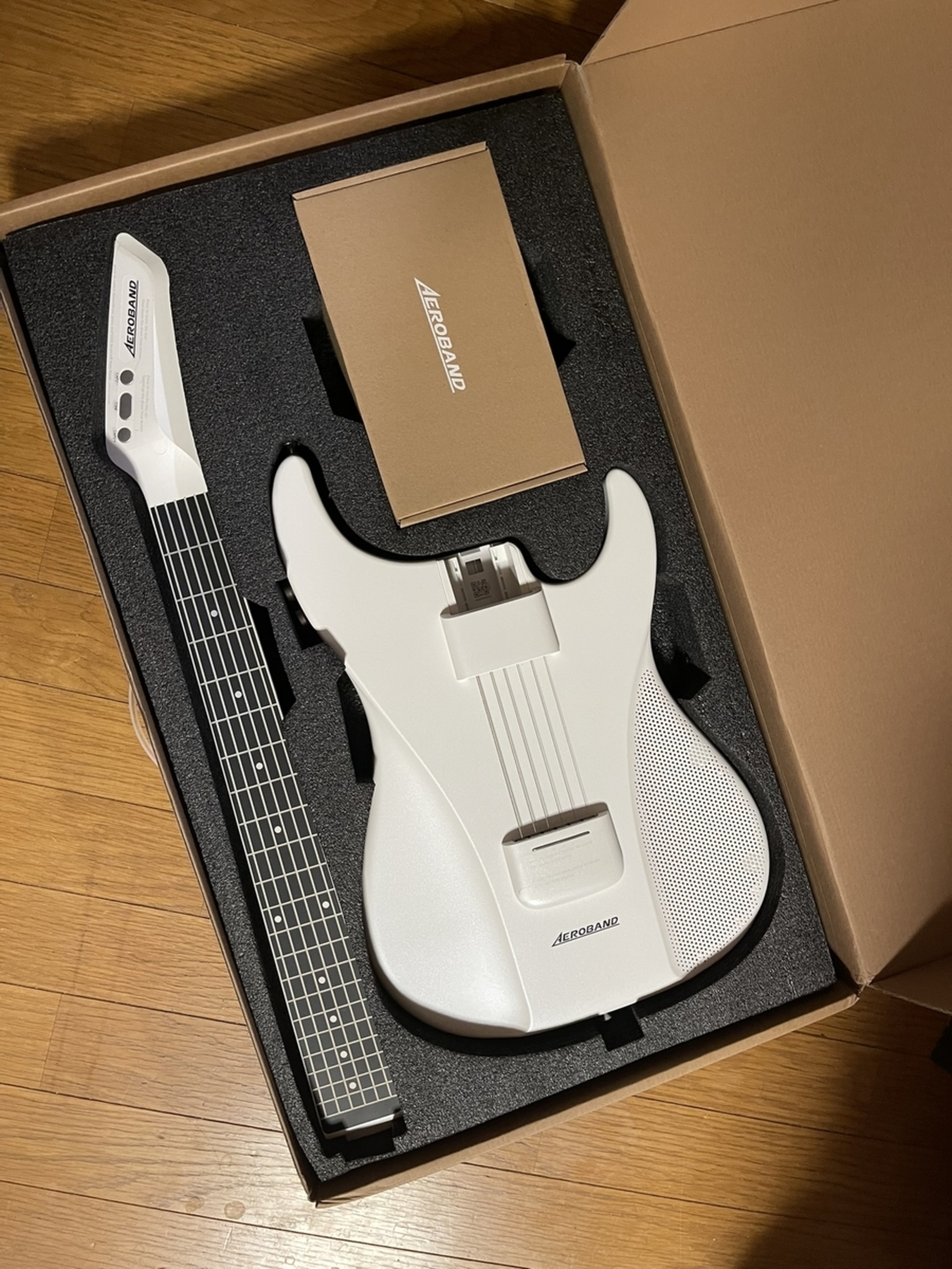 20251002 AERO BAND GUITARちゃん<3<3 - キューピーのたらたら日記