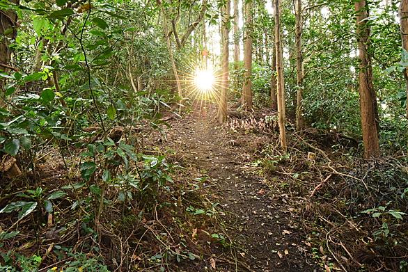 鞍手町とは 地理の人気 最新記事を集めました はてな