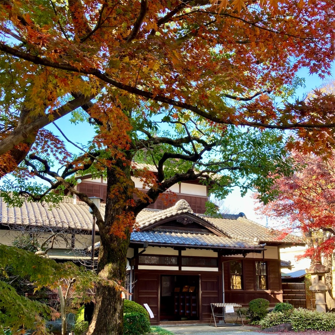 平安鎌倉時代の庭園植栽（信山社・1999年版） 平安鎌倉時代の庭園植栽（信山社・1999年版） 平安鎌倉時代の