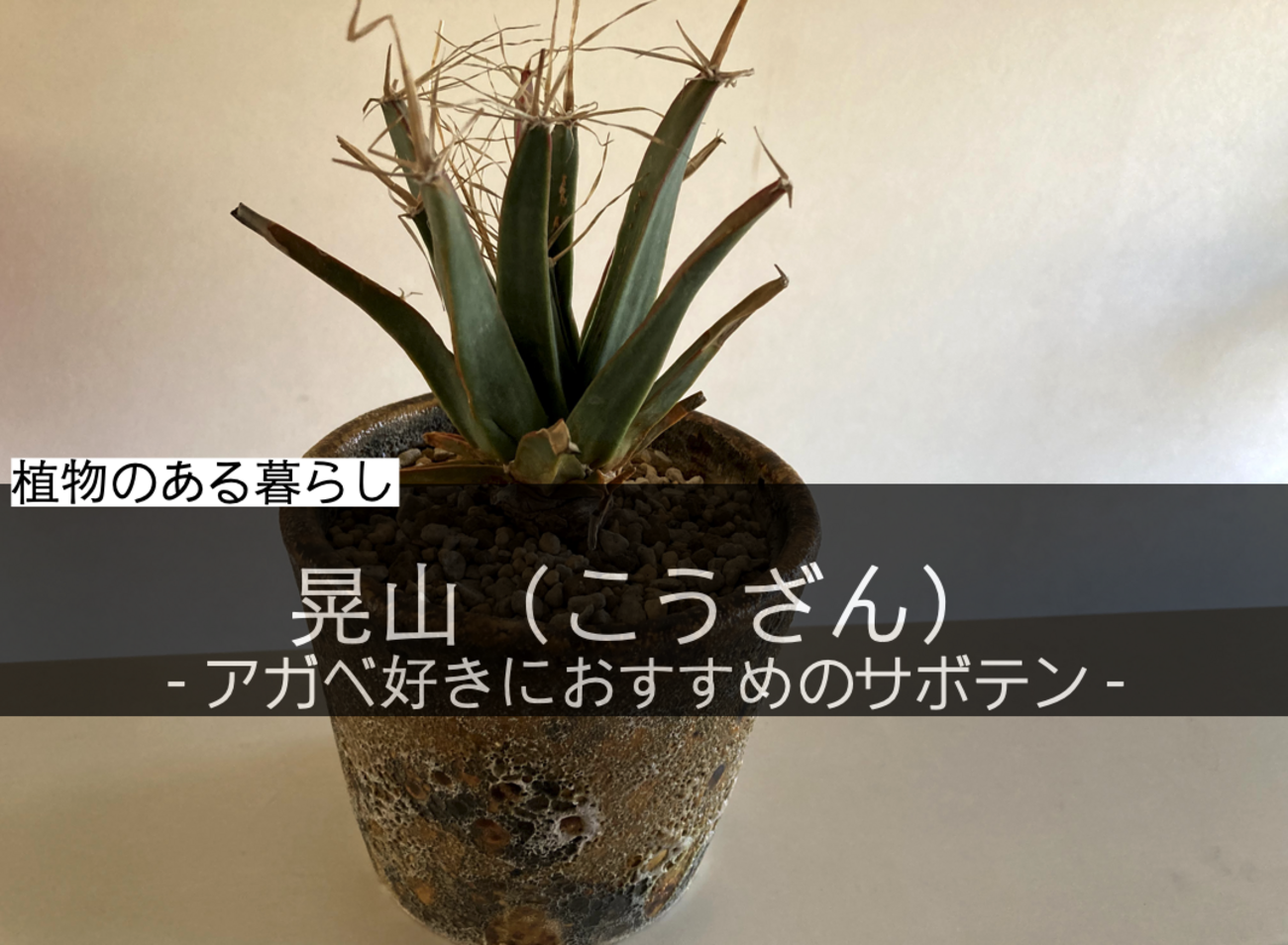 backend=imagemagick;version=1; 