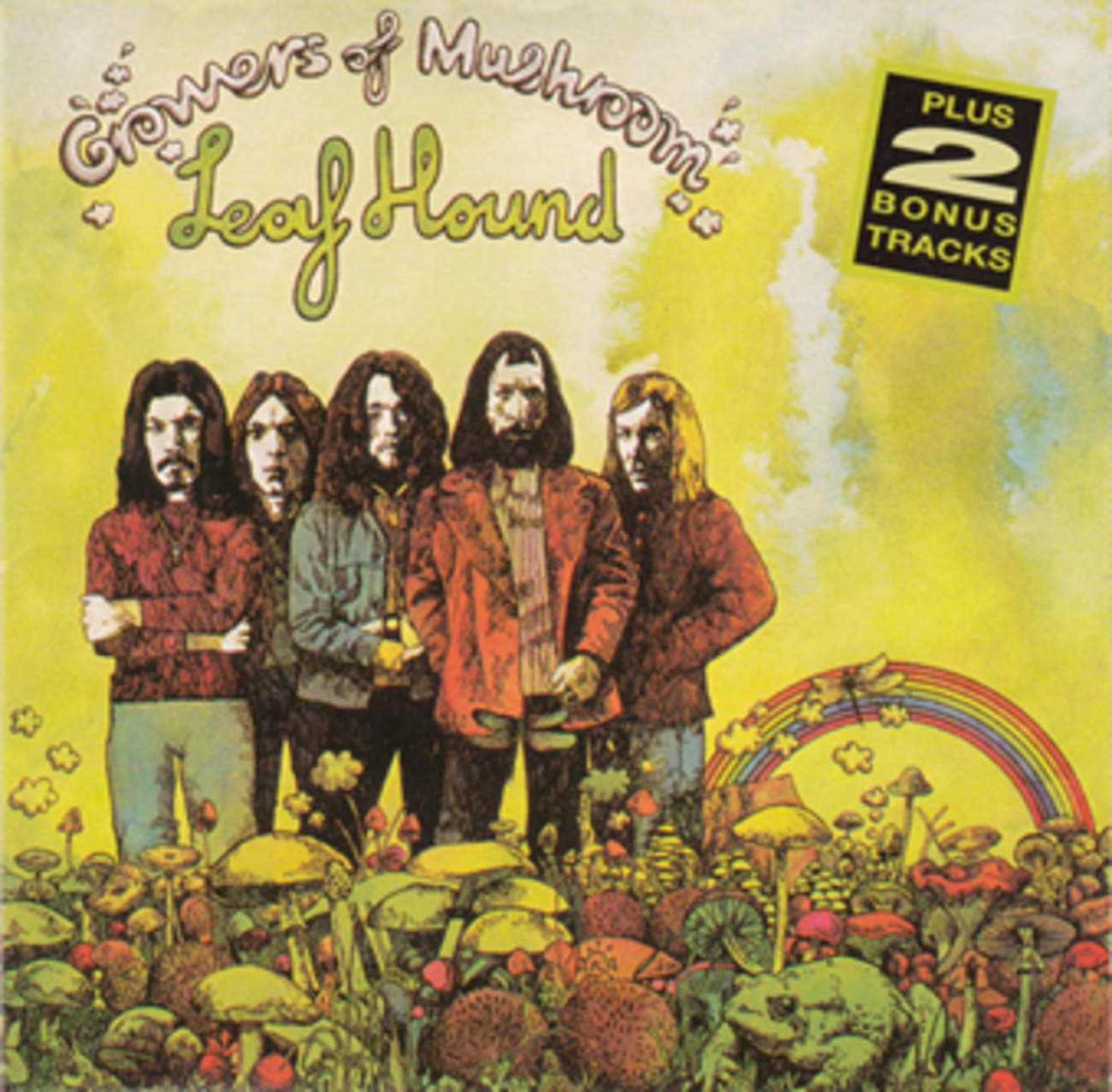 ロックンロール青果店（21）Leaf Hound - DON