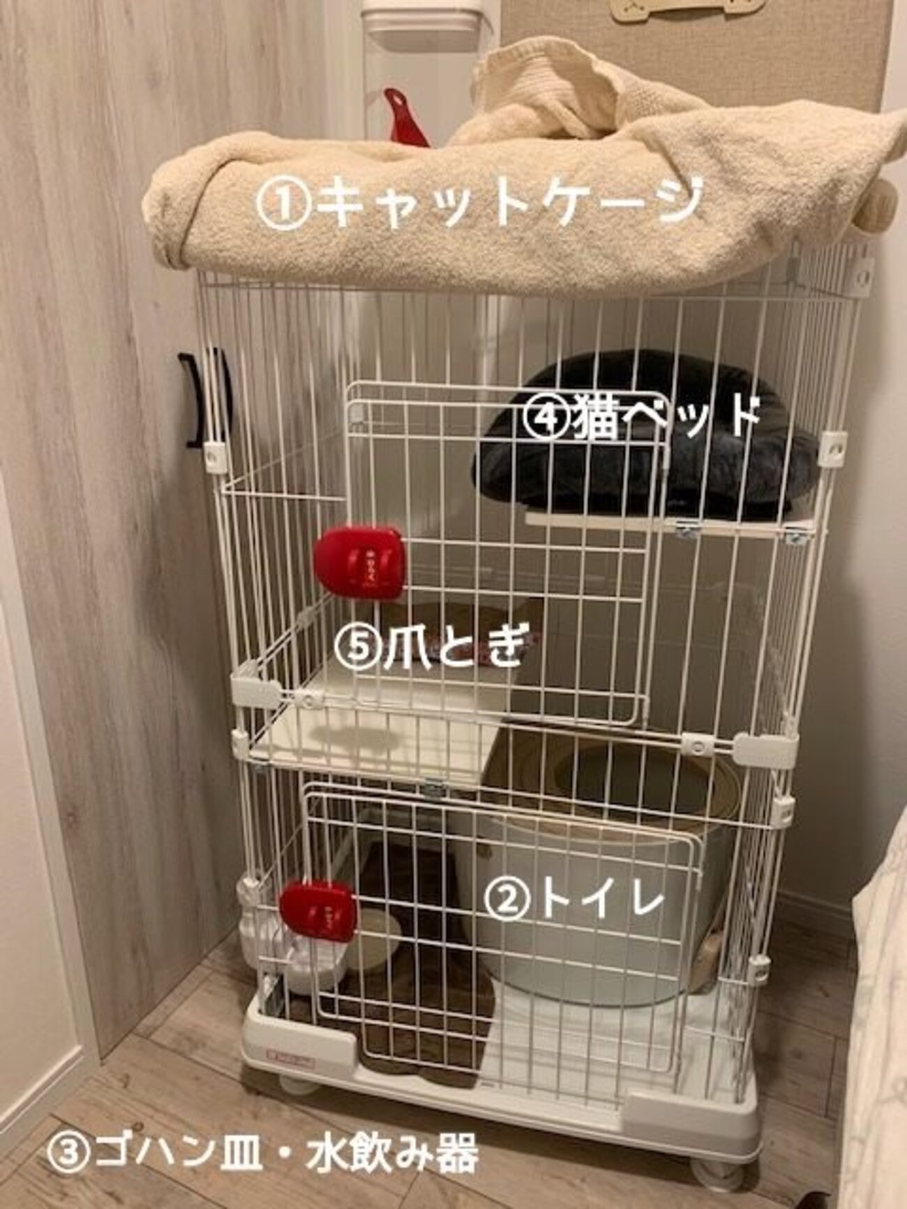 多頭飼育＠必要なものリスト - ももくり保護ニャンズダイアリー