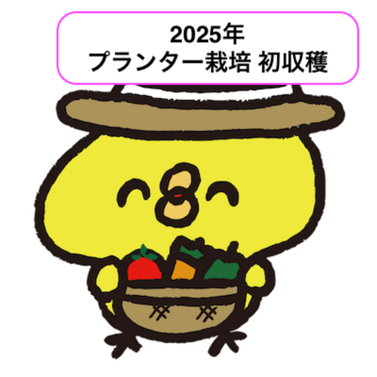 家庭菜園】2025年 夏の初収穫〜ミニトマトとピーマン - 引きこもり専業 