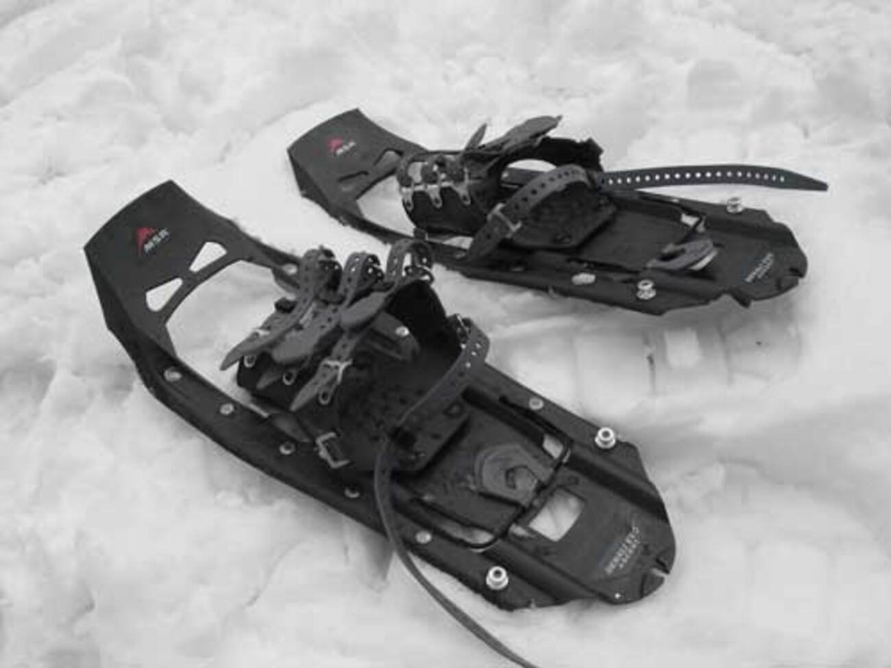 スノーシュー 登山 DENALI ASCENT MSR さめ デナリ アセント