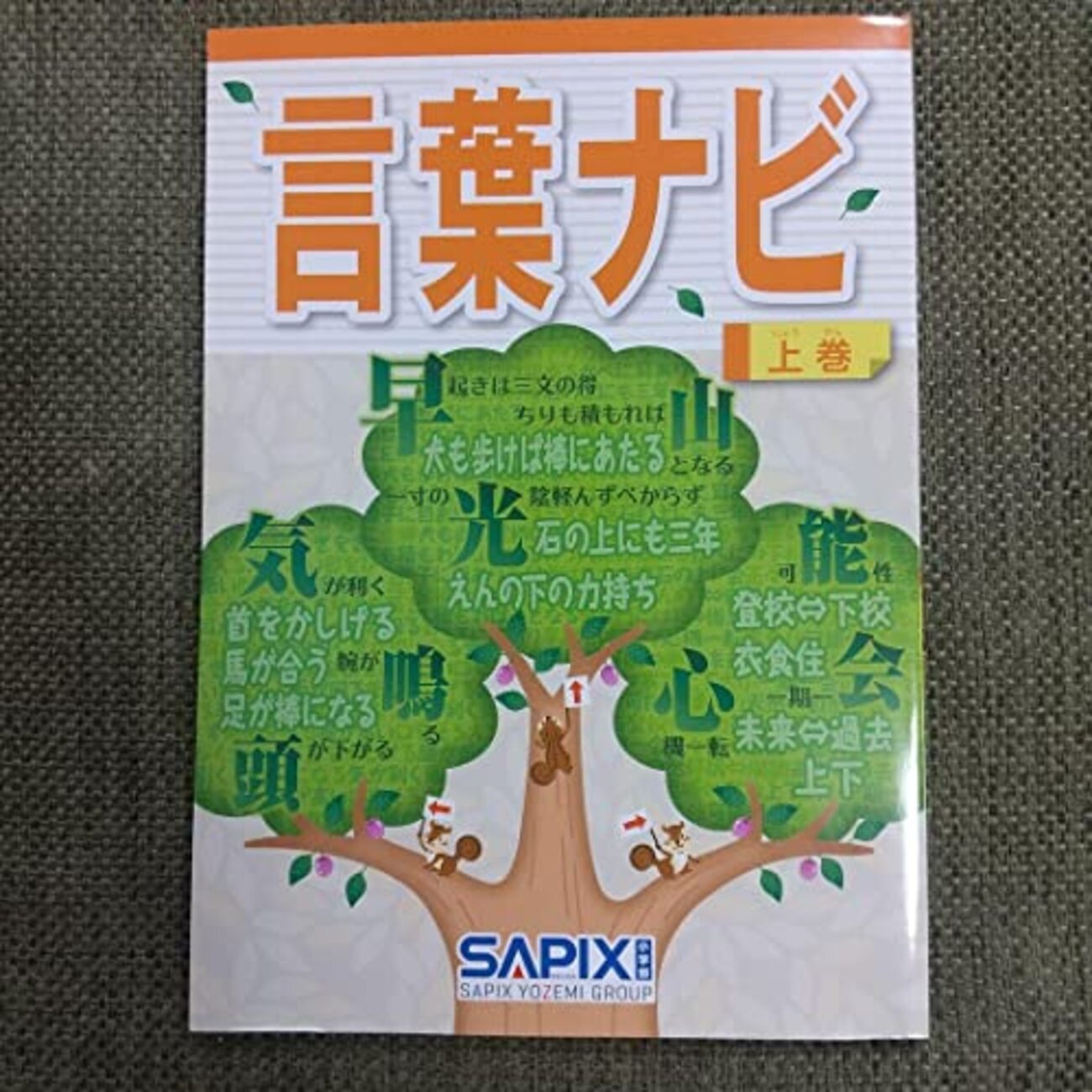 サピックス SAPIX 言葉ナビ 上巻 下巻 書き込みなし 【公式通販】