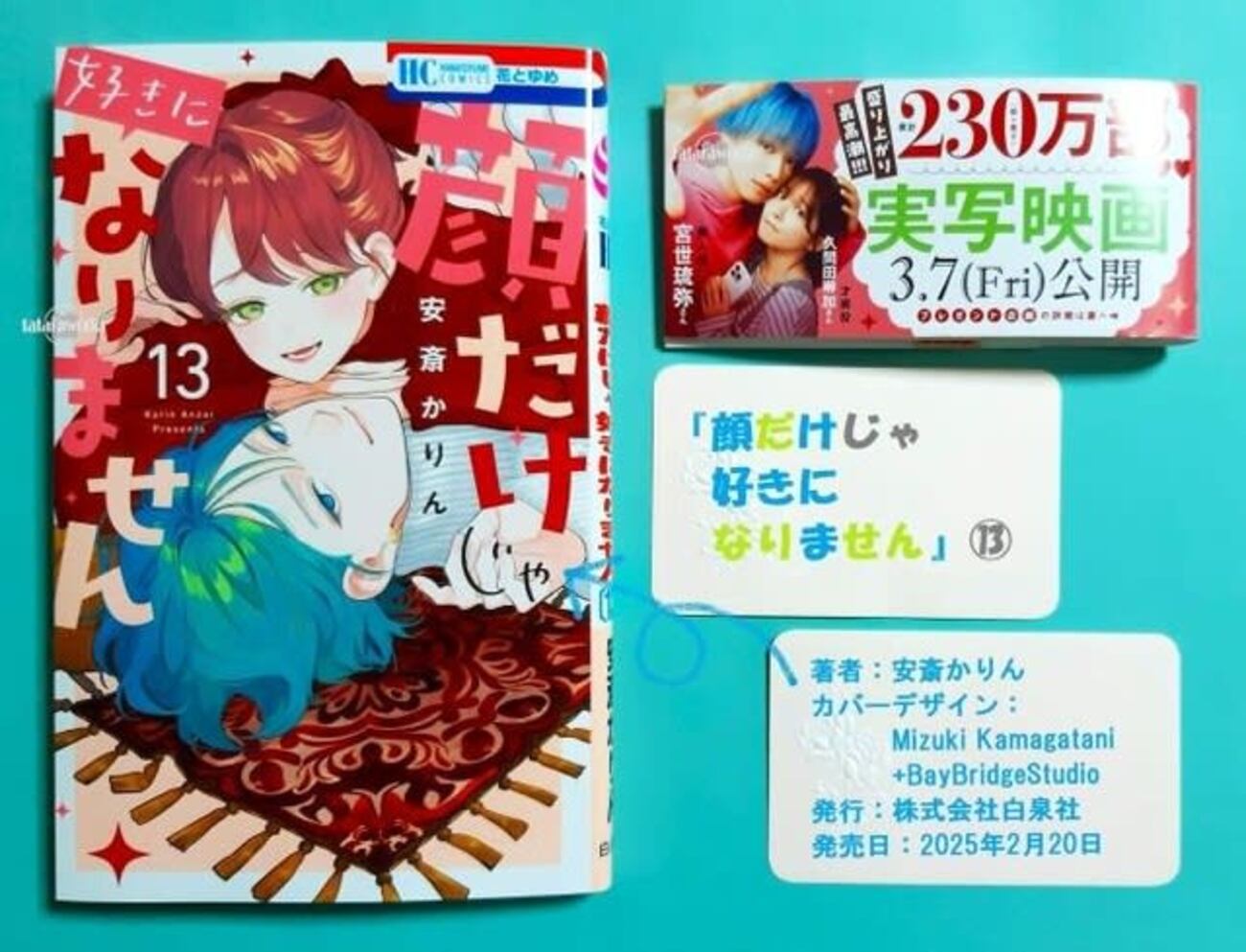 顔だけじゃ好きになりません 13 顔だけじゃ好きになりませ