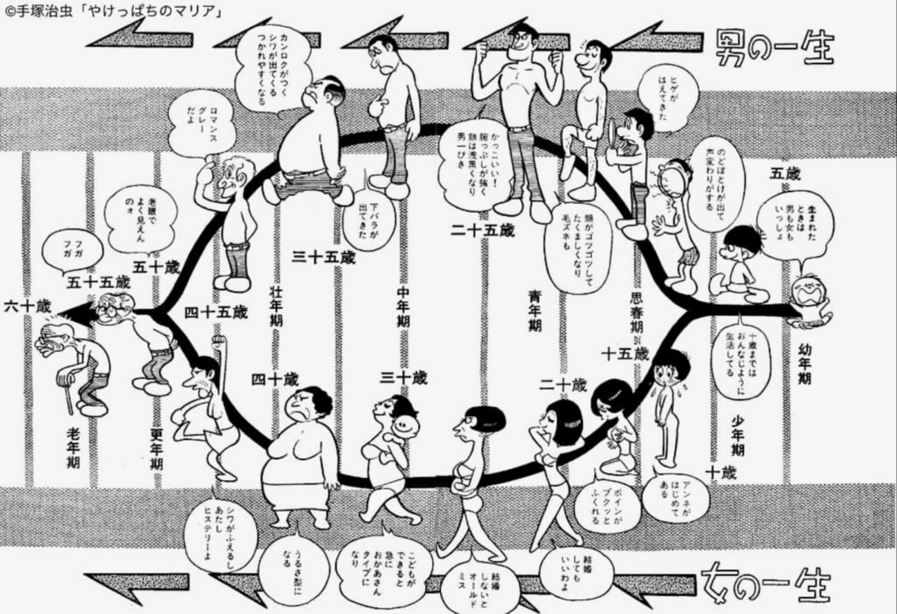 活動歴および当時の関連ビジュアル記録