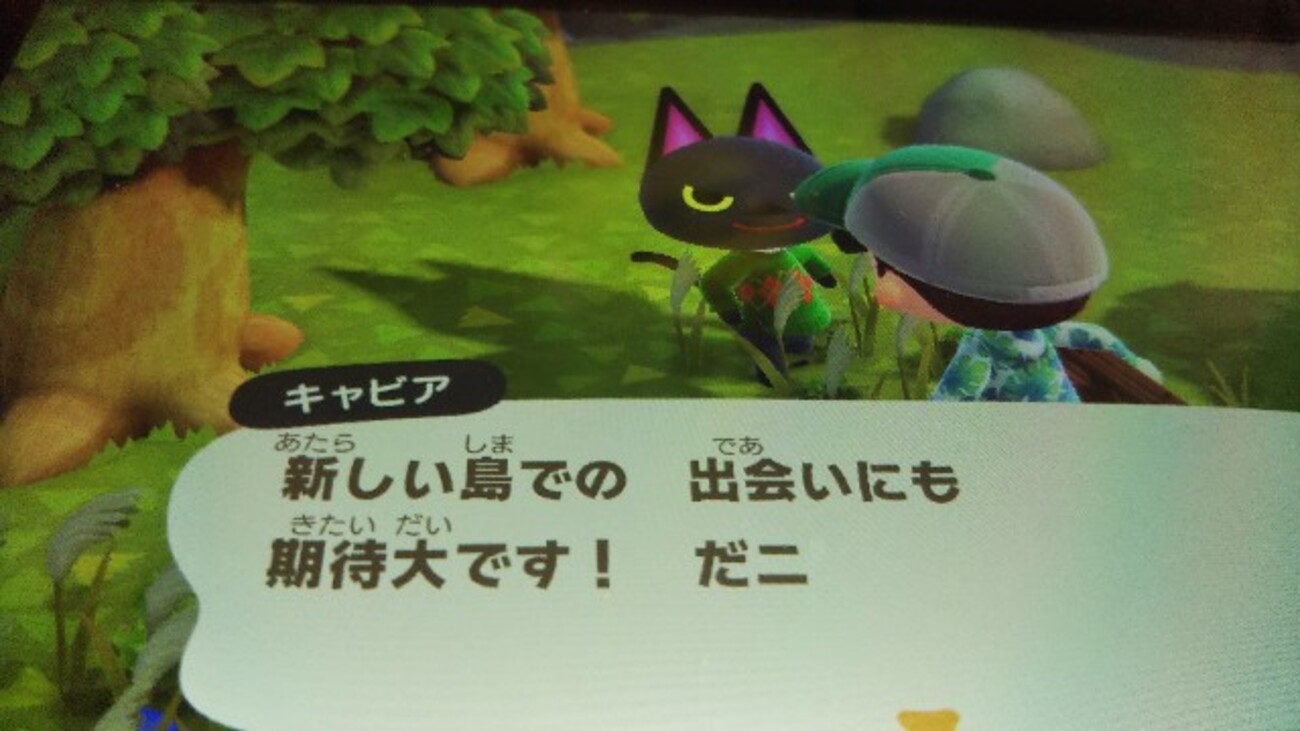 あつ森（キャビア） - poketto