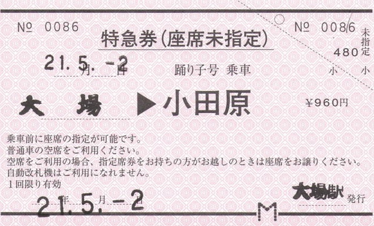 【使用済】完全常備券　伊豆号　伊豆箱根鉄道発行　2等　硬券 backend=imagemagick;version=1;