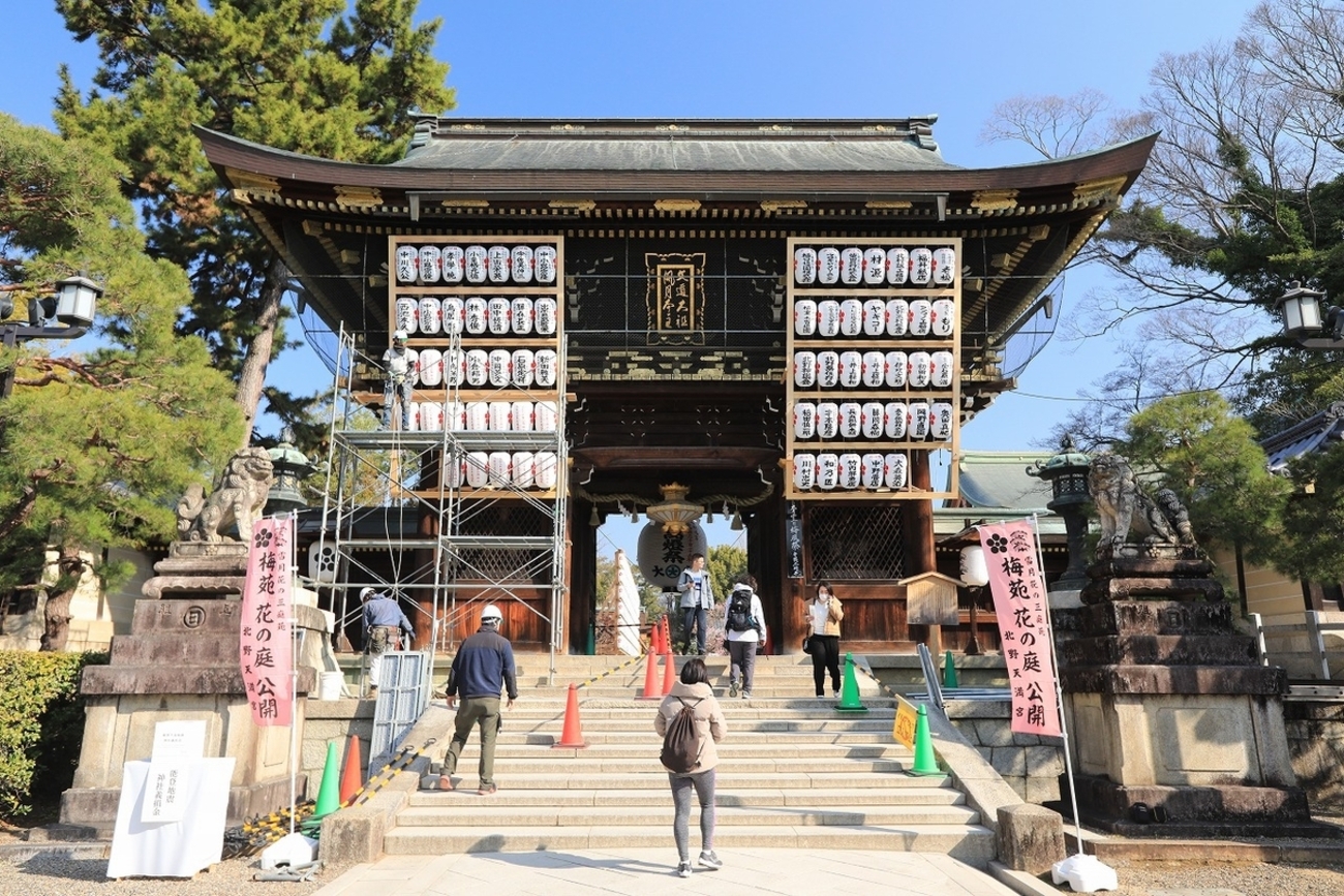 京都「北野天満宮」梅 2025 - tooniiの写真日記