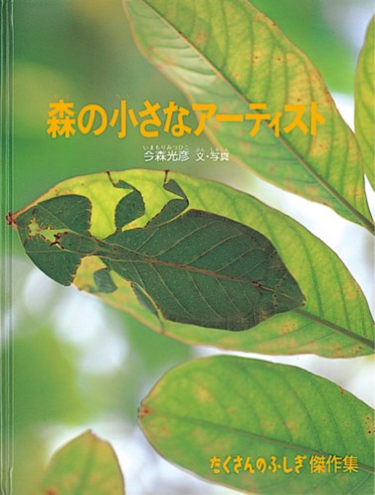 backend=imagemagick;version=1; 
