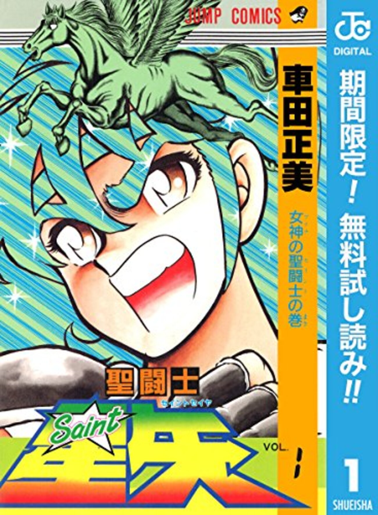 聖闘士星矢』 全28巻 - マンガ表紙博物館