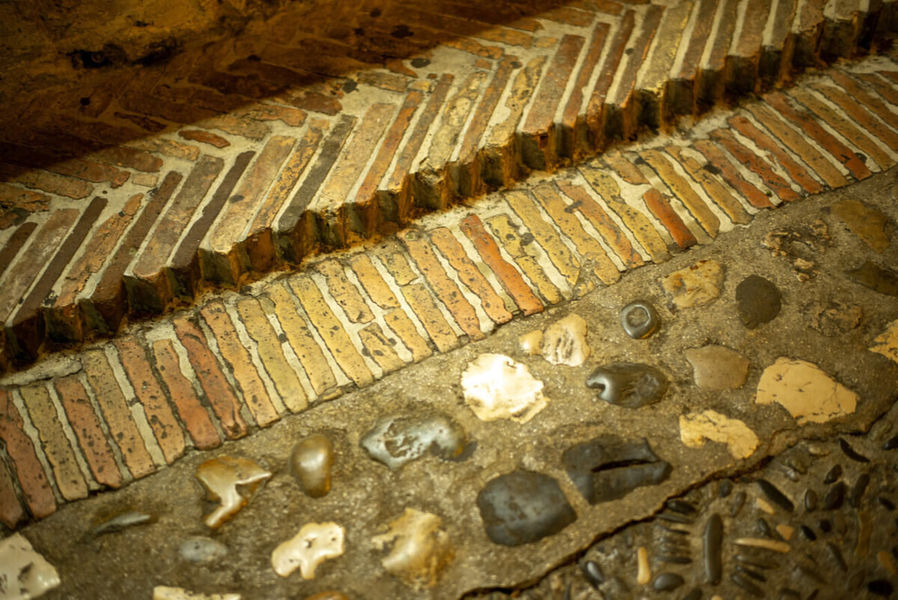 心とは何か ― Neuro-samaが問いかけるもの - ニューロサイエンスとマーケティングの間 - Between Neuroscience and Marketing