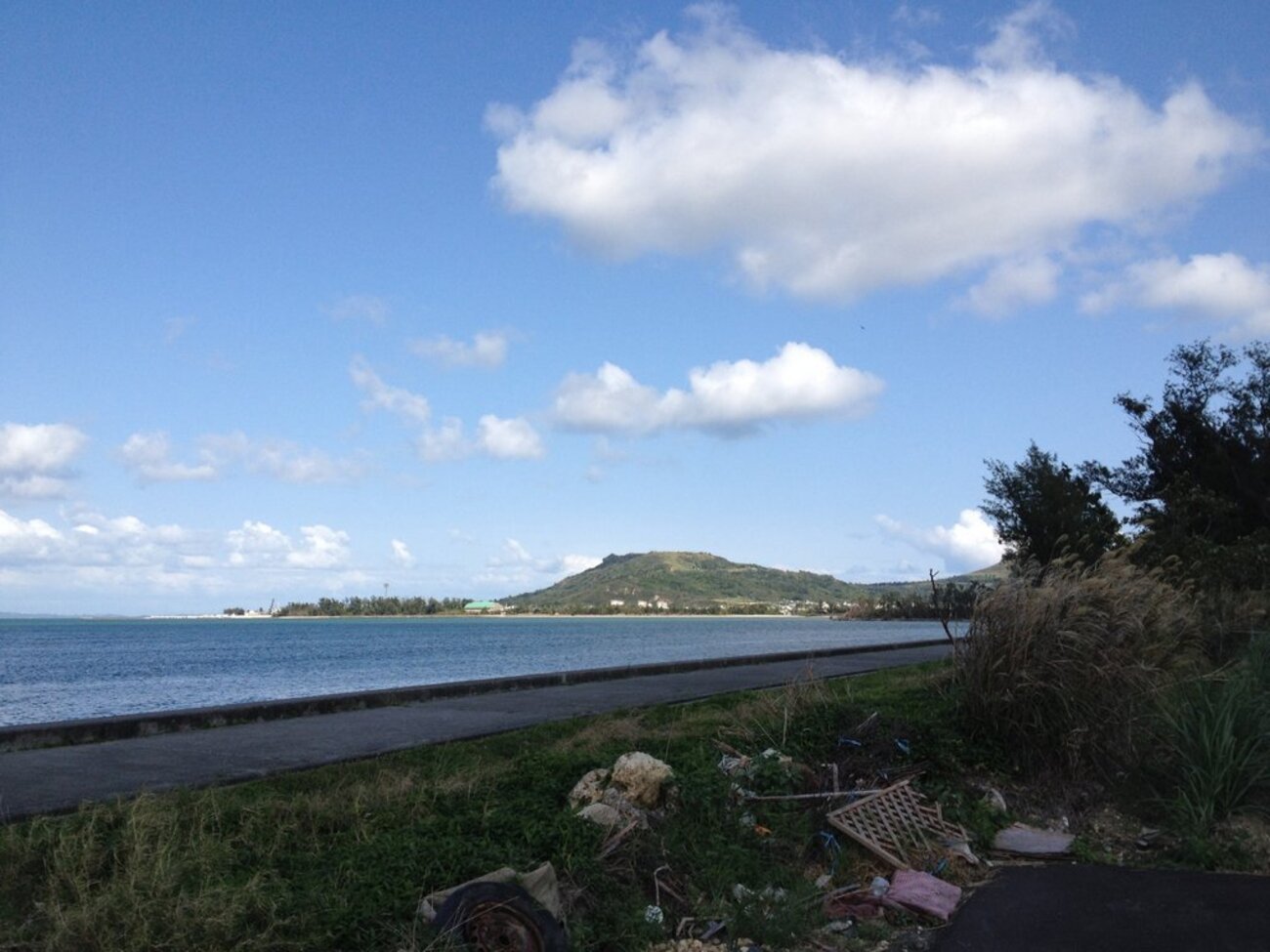 ３０年前に南城市海岸にて拾ったかいがらたち 南城市（佐敷字新里、佐敷字兼久、佐敷字佐敷、佐敷字富祖崎、佐敷字仲
