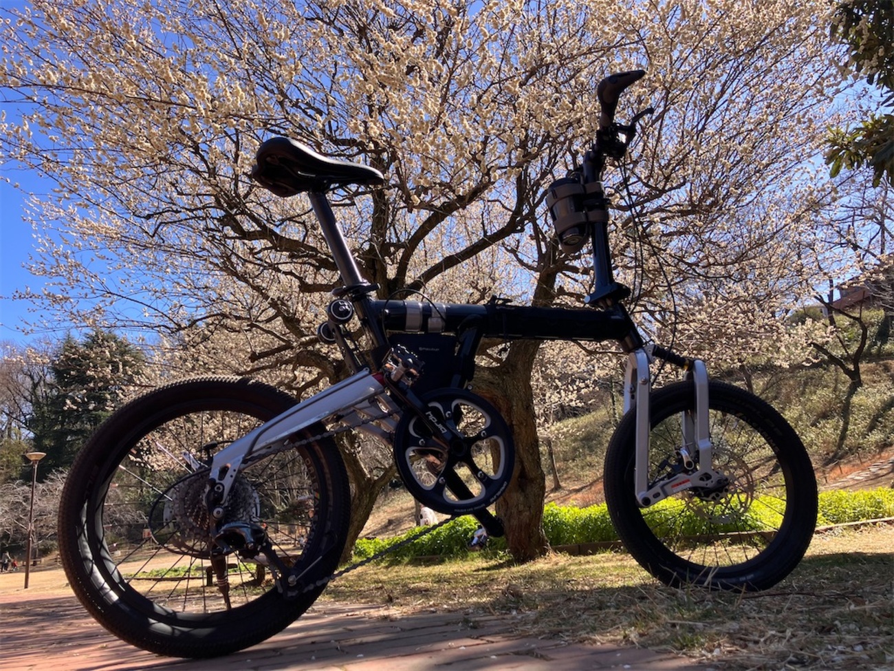 大倉山梅林と三ツ池公園の梅 - 折りたたみ自転車で鉄道旅、出発輪行！