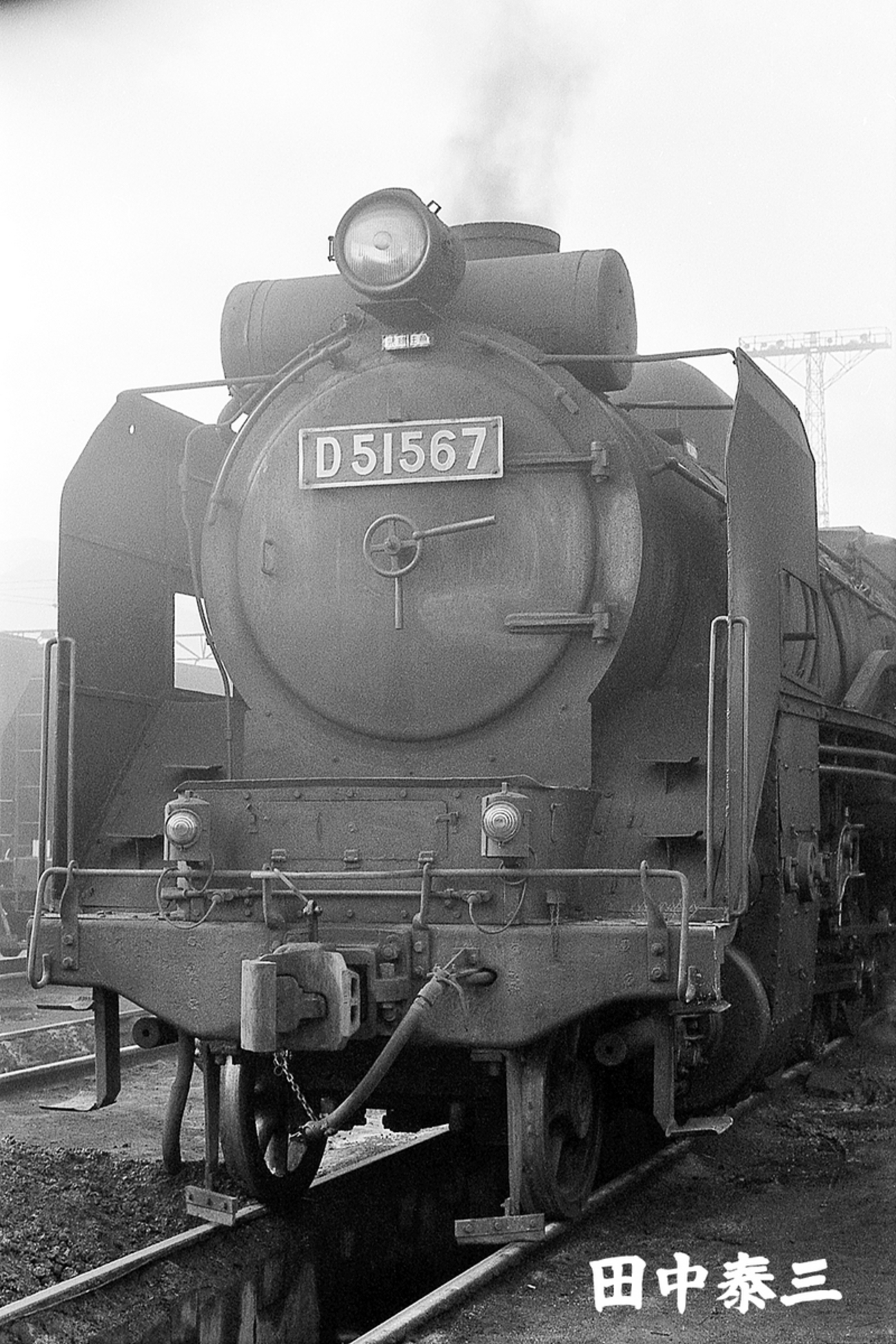 日本車輌 限定D-51 backend=imagemagick;version=1;