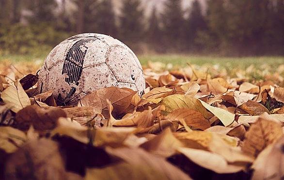 シュウォーツァーとは スポーツの人気 最新記事を集めました はてな シュウォーツァーとは スポーツの人気 最新記事を集めました はてな