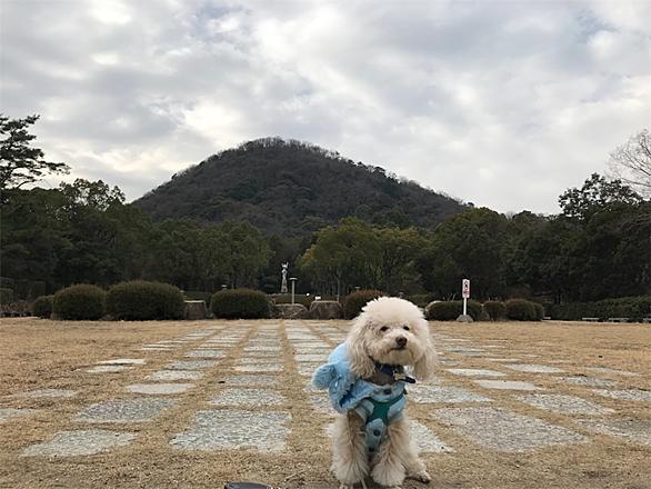 甲山森林公園とは 地理の人気 最新記事を集めました はてな 甲山森林公園とは 地理の人気 最新記事を集めました はてな