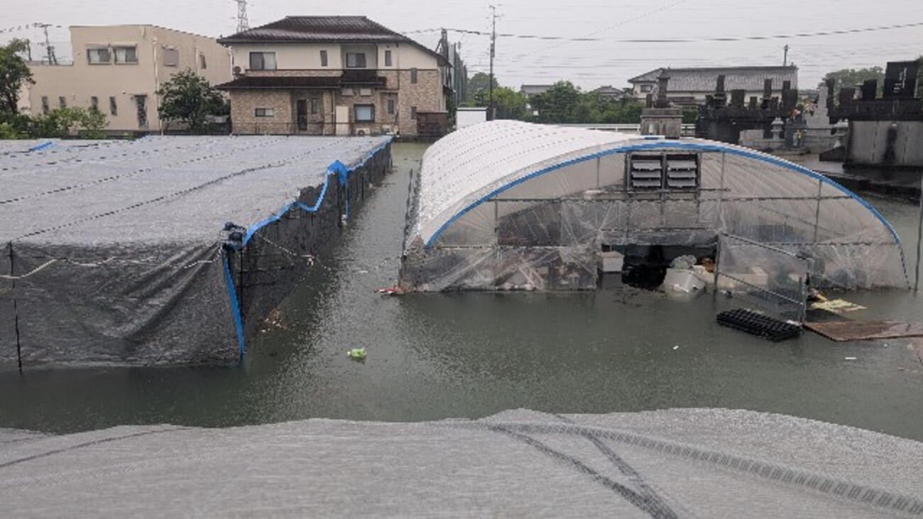 令和7年8月11日 熊本豪雨災害 - 趣味人(シュミット)のプラジェクトX(ばってん)