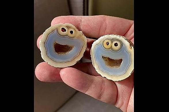 クッキーモンスターとは アートの人気 最新記事を集めました はてな