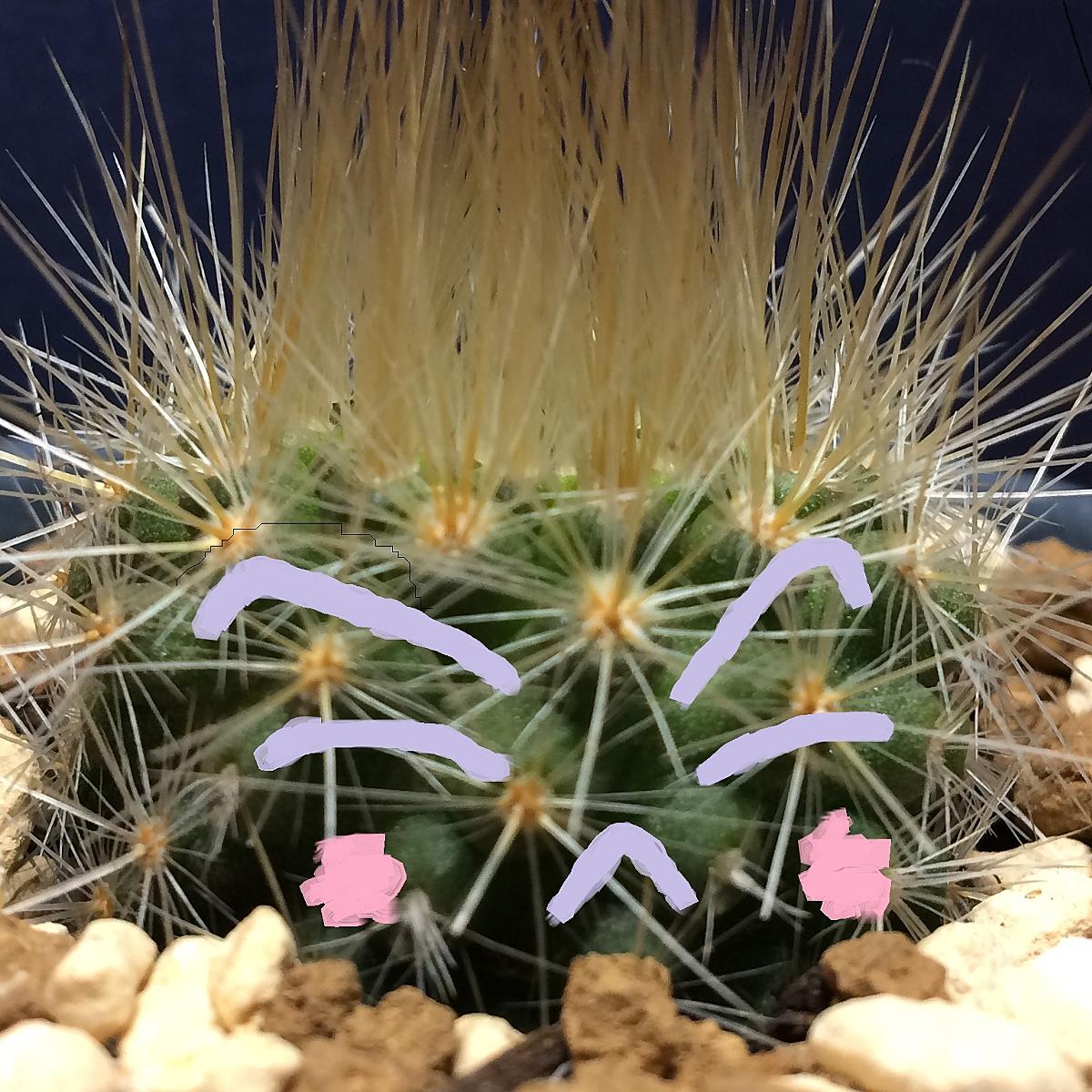 週末は晴天希望