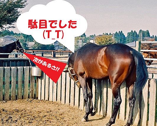 小倉大賞典とは スポーツの人気 最新記事を集めました はてな 小倉大賞典とは スポーツの人気 最新記事を集めました はてな