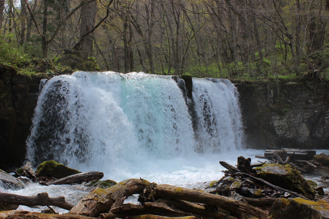 GW東北旅行記 その5（奥入瀬渓流観光） - 夢の魅惑