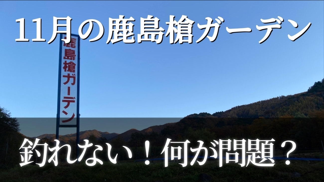 釣ってないはずが 11月の鹿島槍ガーデンレポート【釣れない。何が問題？】 - お父さんの