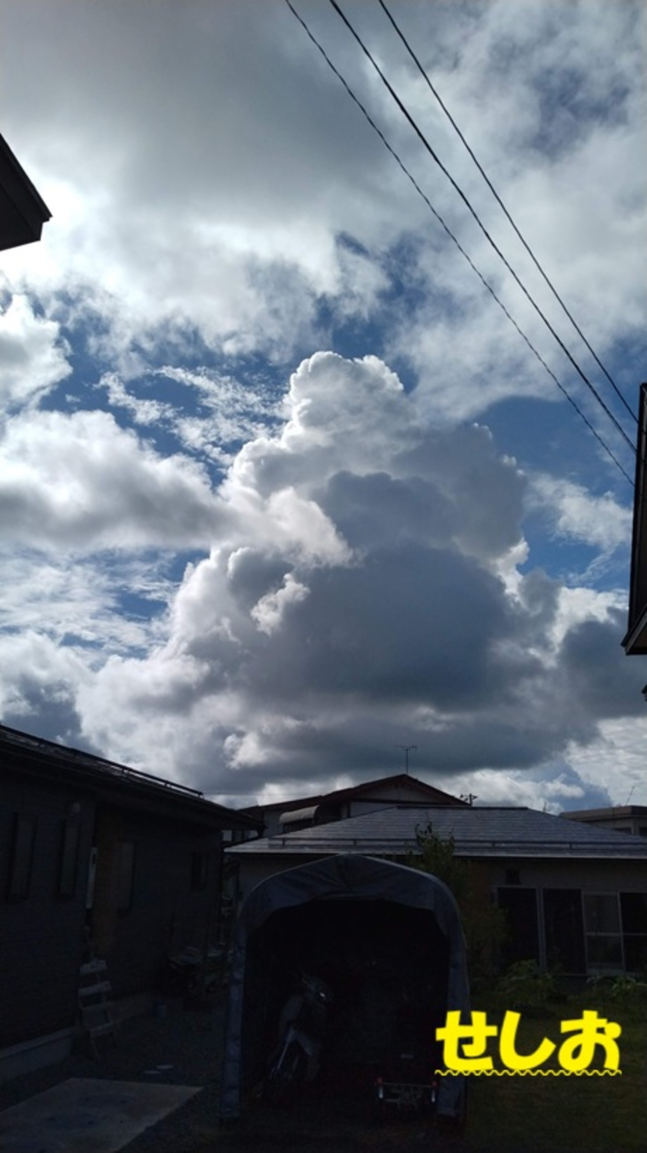 我が家の半坪農園!(^^)! - ダダのミシン屋日記