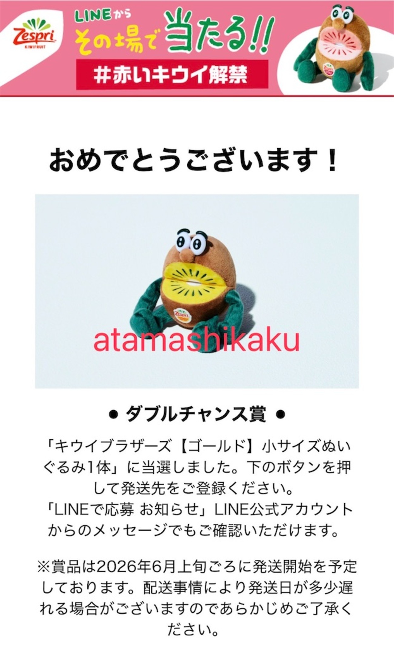 当選】ようやく願いが叶いました！ - 小4松江塾ママブロガーかくこの