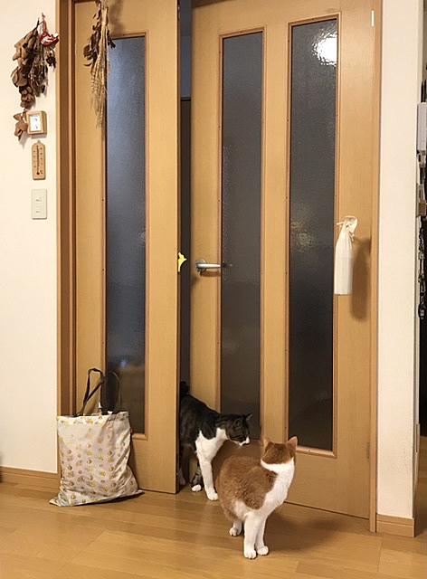 自動ドアとは 一般の人気 最新記事を集めました はてな 自動ドアとは 一般の人気 最新記事を集めました はてな