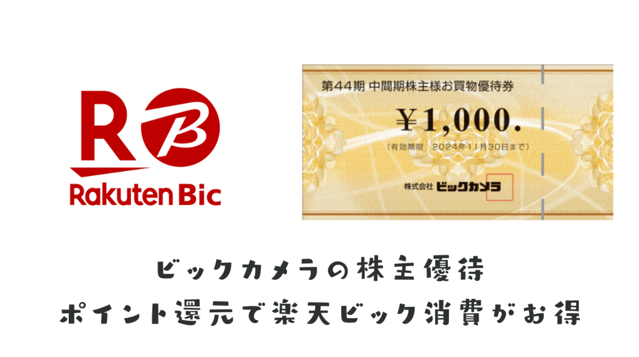 ビックカメラ 株主優待券 10,000円分 コジマ ソフマップ 家電