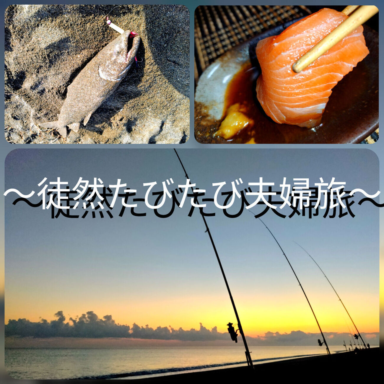 秋鮭』を釣って『ルイベ』にした話。【北海道移住】【日常】 - 徒然 