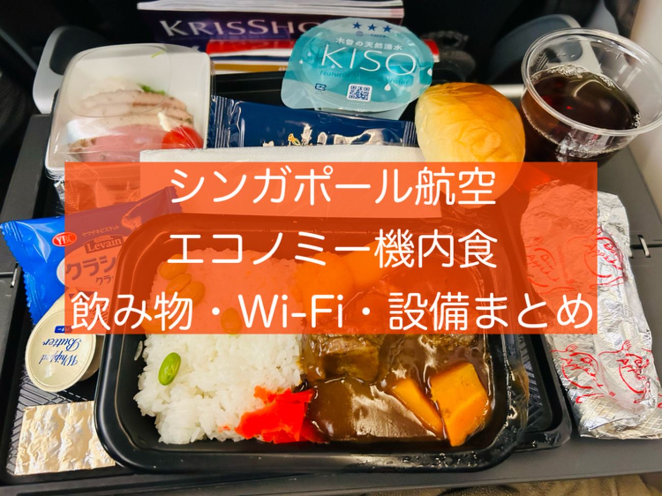 2025】シンガポール航空エコノミー機内食！飲み物、WiFi、映画まとめ