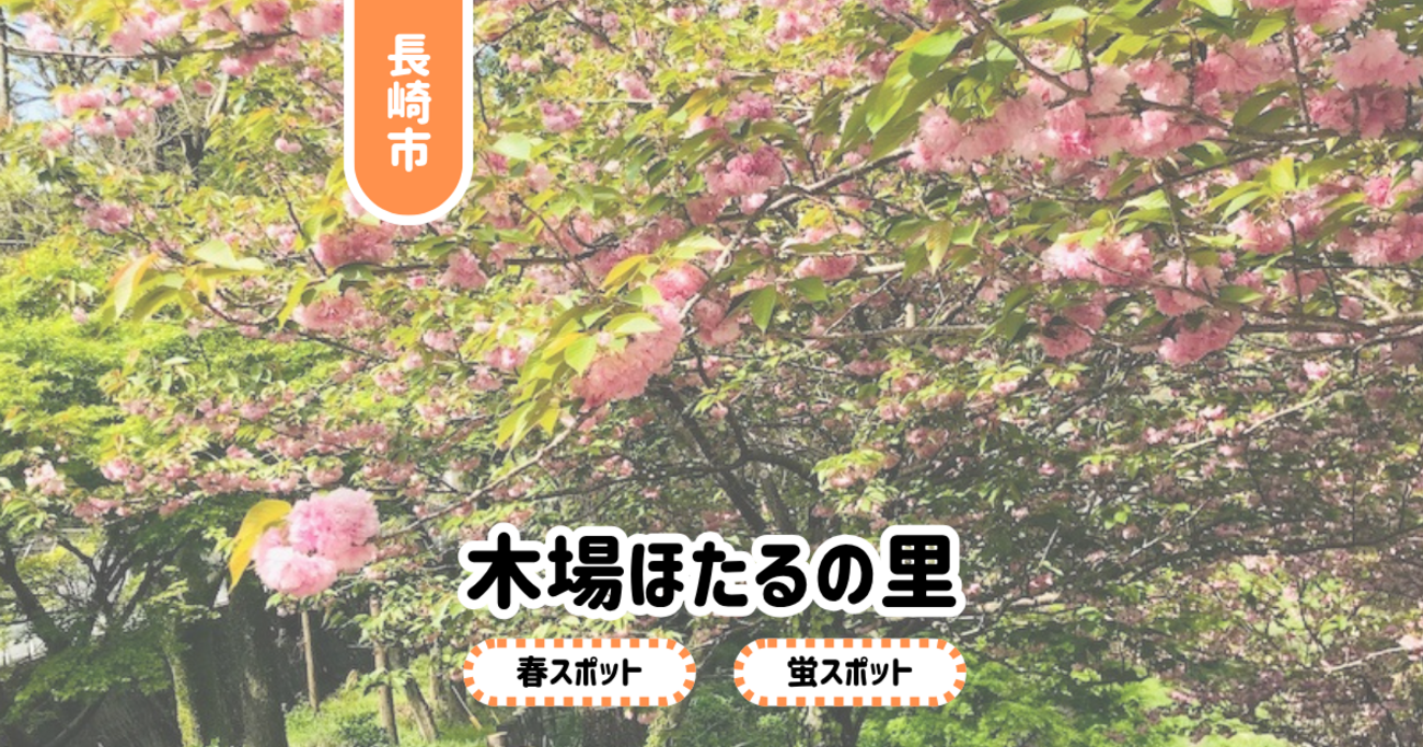 backend=imagemagick;version=1;