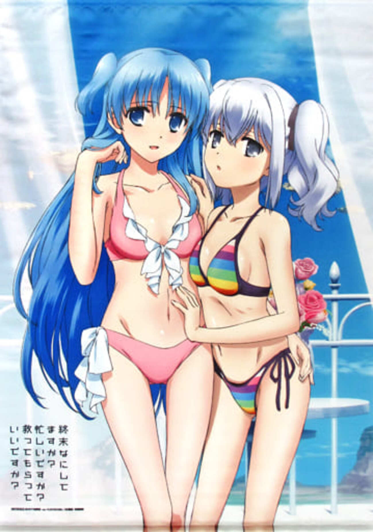 今クトリ＆ネフレン 描き下ろしB2タペストリー 「Blu-ray/DVD 終末な 