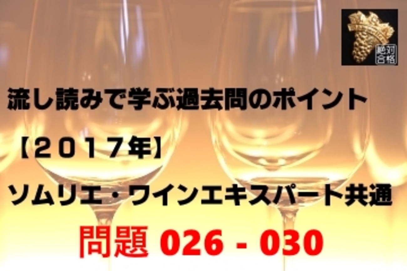 流し読みで学ぶ過去問のポイント - 2017年 S/WE共通 026-030