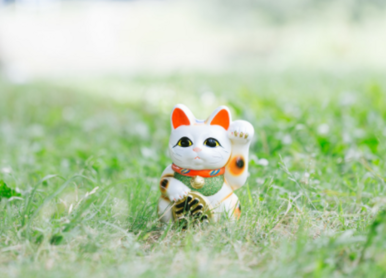 ドルコスト平均法のメリットデメリット - たぱぞうの米国株投資