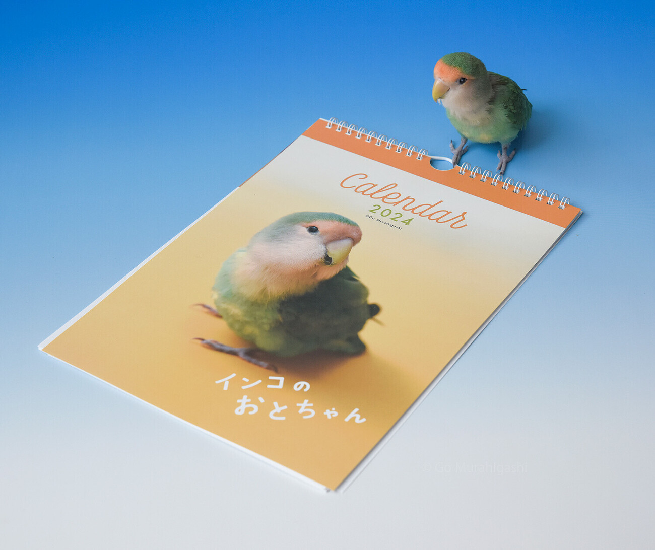 インコのおとちゃんカレンダー2024 - らくちゃんノート
