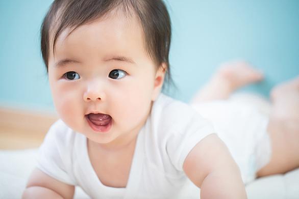 ハイハイとは 一般の人気 最新記事を集めました はてな