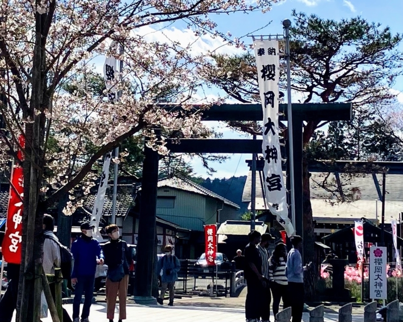 仙台神社巡り】2025 櫻岡大神宮「お花見限定御朱印」「花詣 記念挟み紙 