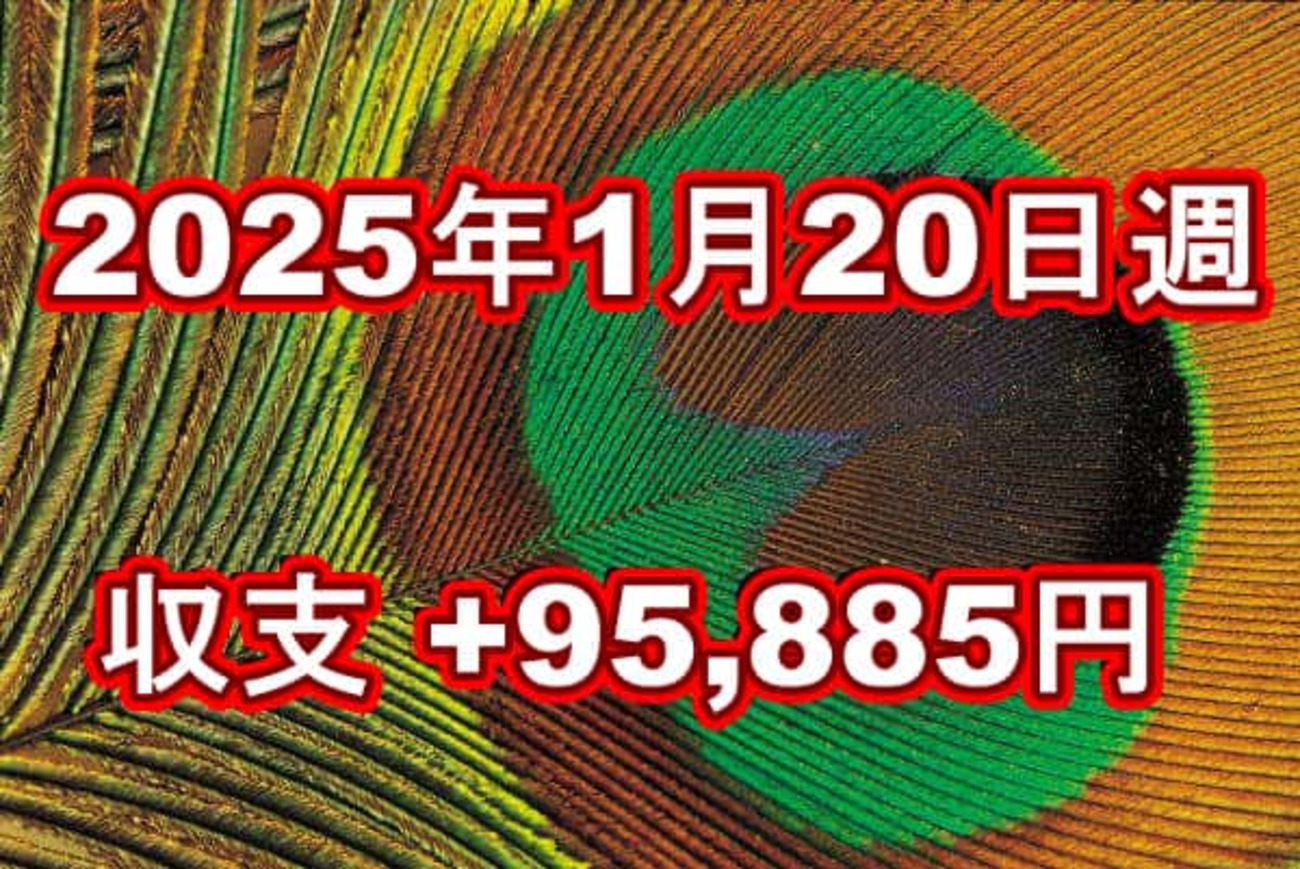 2025年1月20日週の収支は +95,885円 - 60からは真面目に資産運用