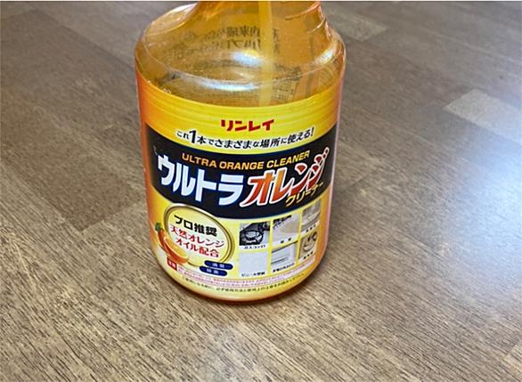 ゴキブリとは 動植物の人気 最新記事を集めました はてな ゴキブリとは 動植物の人気 最新記事を集めました はてな